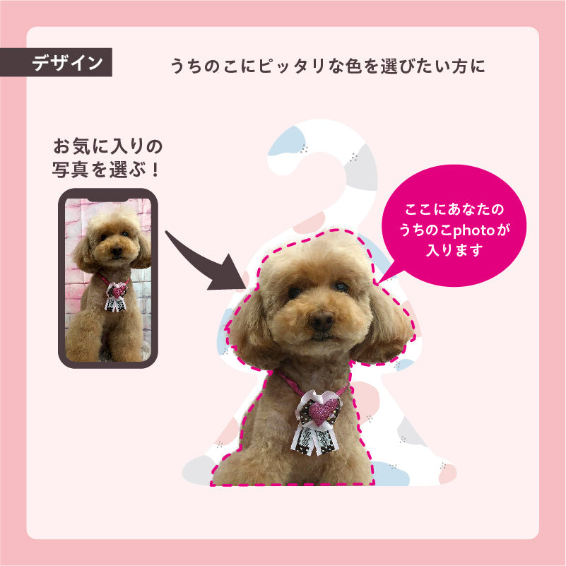 フォトハンガー -ペット用-(ふわふわすてっぷ)
