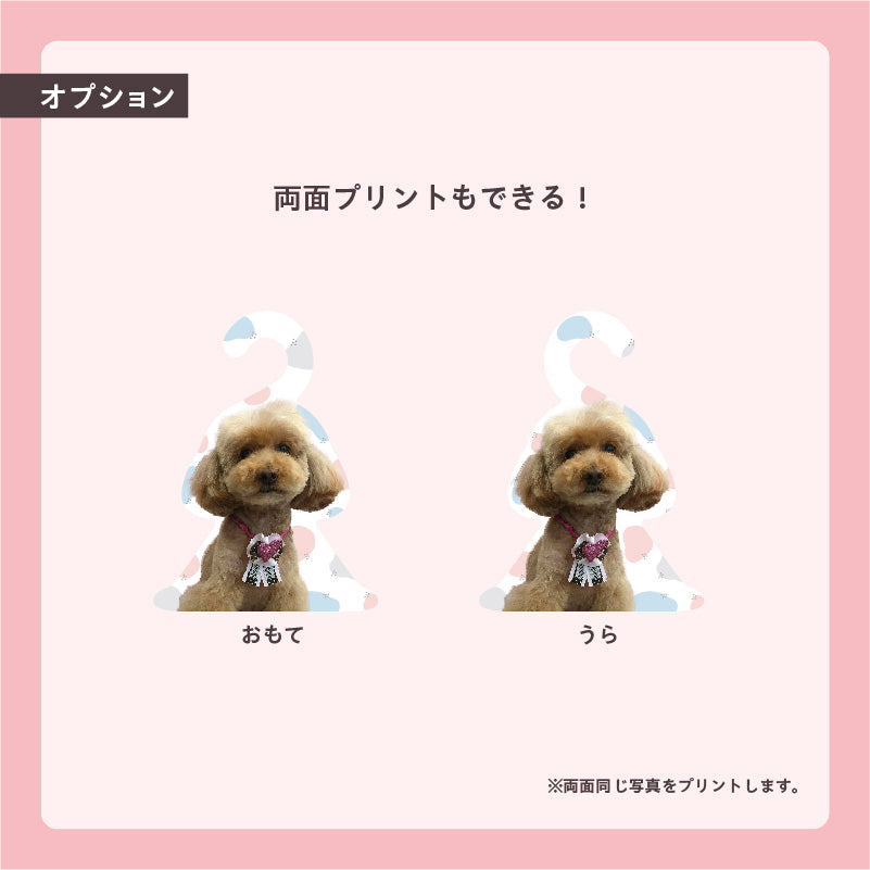 フォトハンガー -ペット用-(ふわふわすてっぷ)