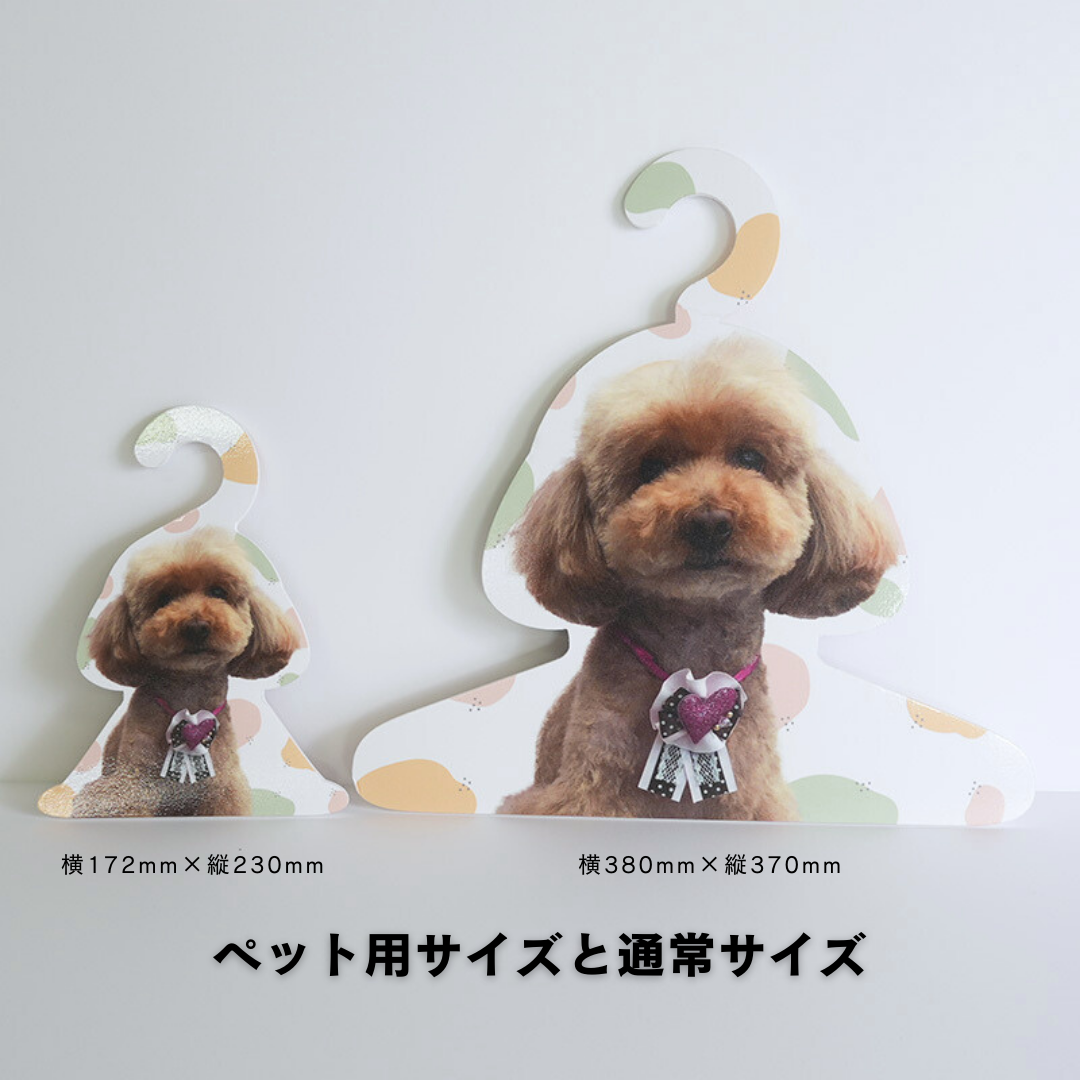 【まとめ買い】フォトハンガー -飼い主さん用-(ふわふわすてっぷ)5枚セット