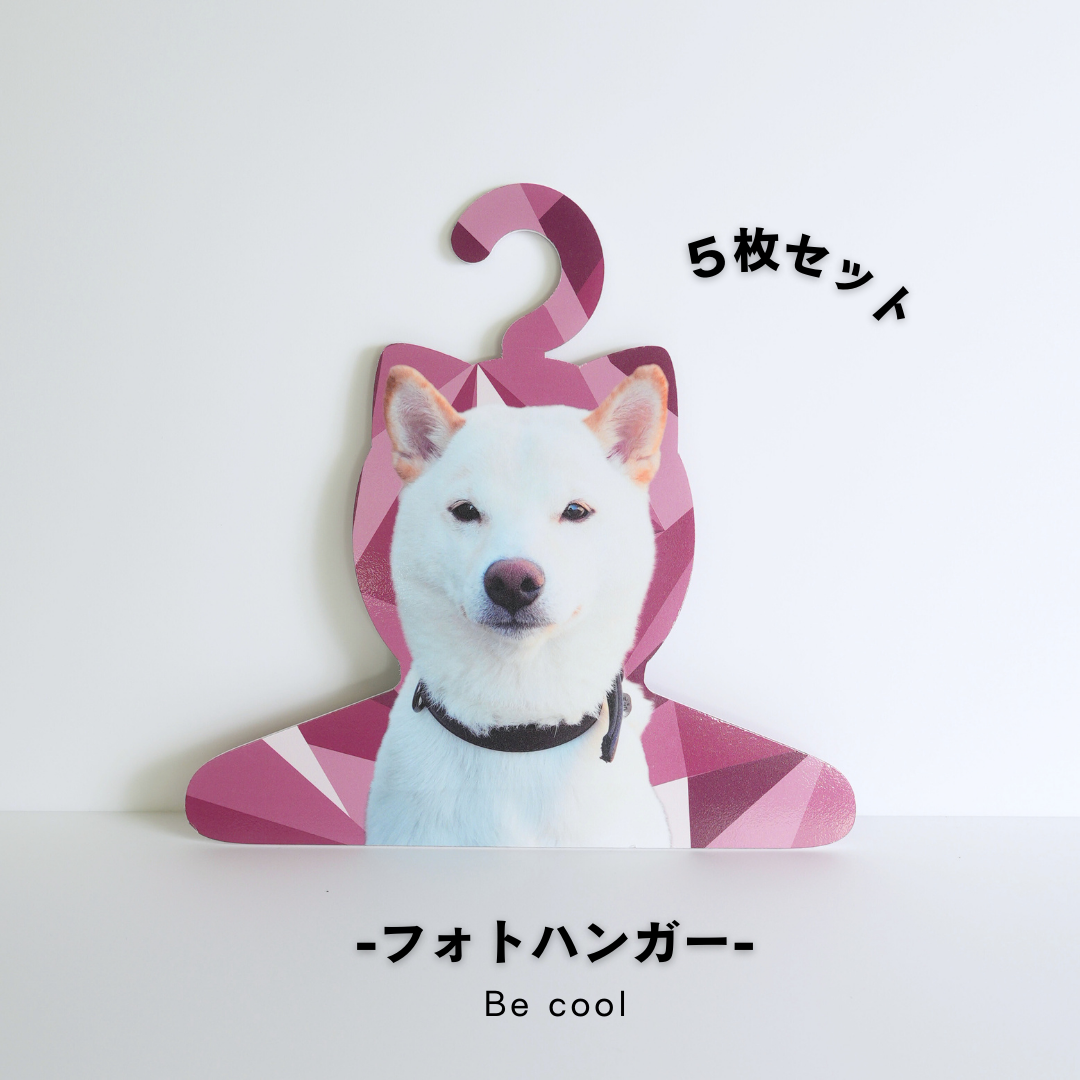 【まとめ買い】フォトハンガー -飼い主さん用-(Be cool)5枚セット