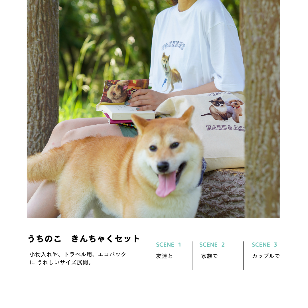 うちのこきんちゃくセット