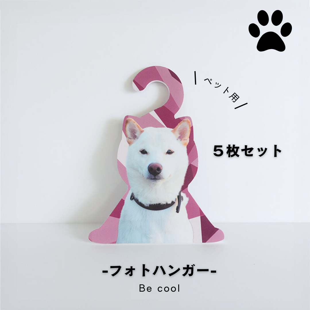 【まとめ買い】フォトハンガー -ペット用-(Be cool)5枚セット
