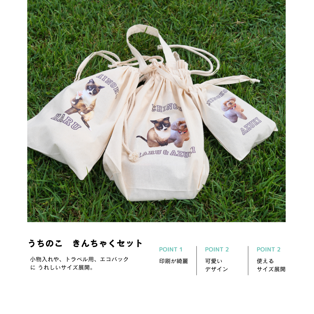 うちのこきんちゃくセット
