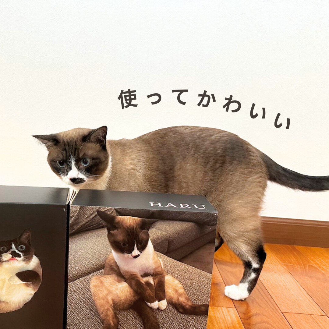 おうちであったかギフトBOX