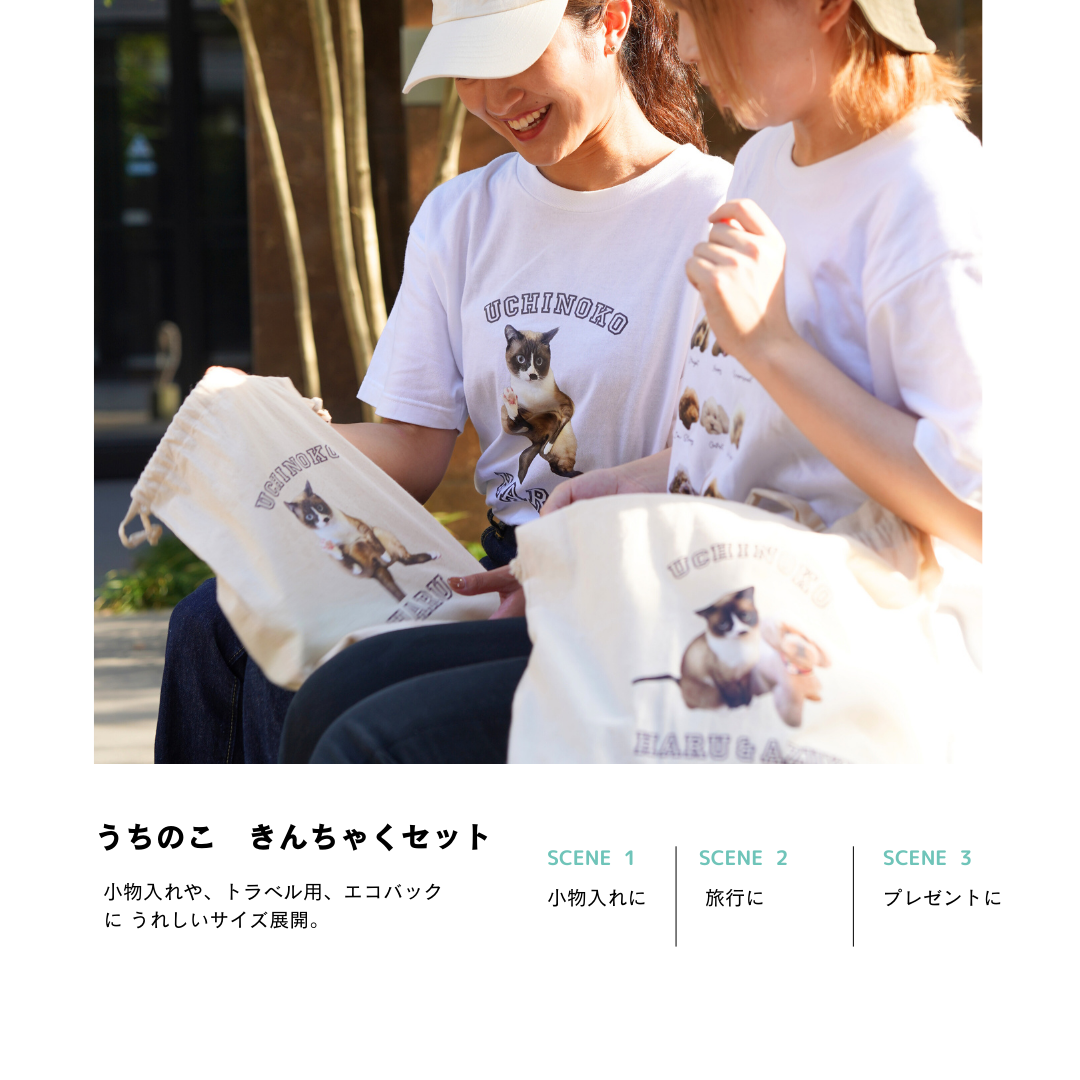 うちのこきんちゃくセット