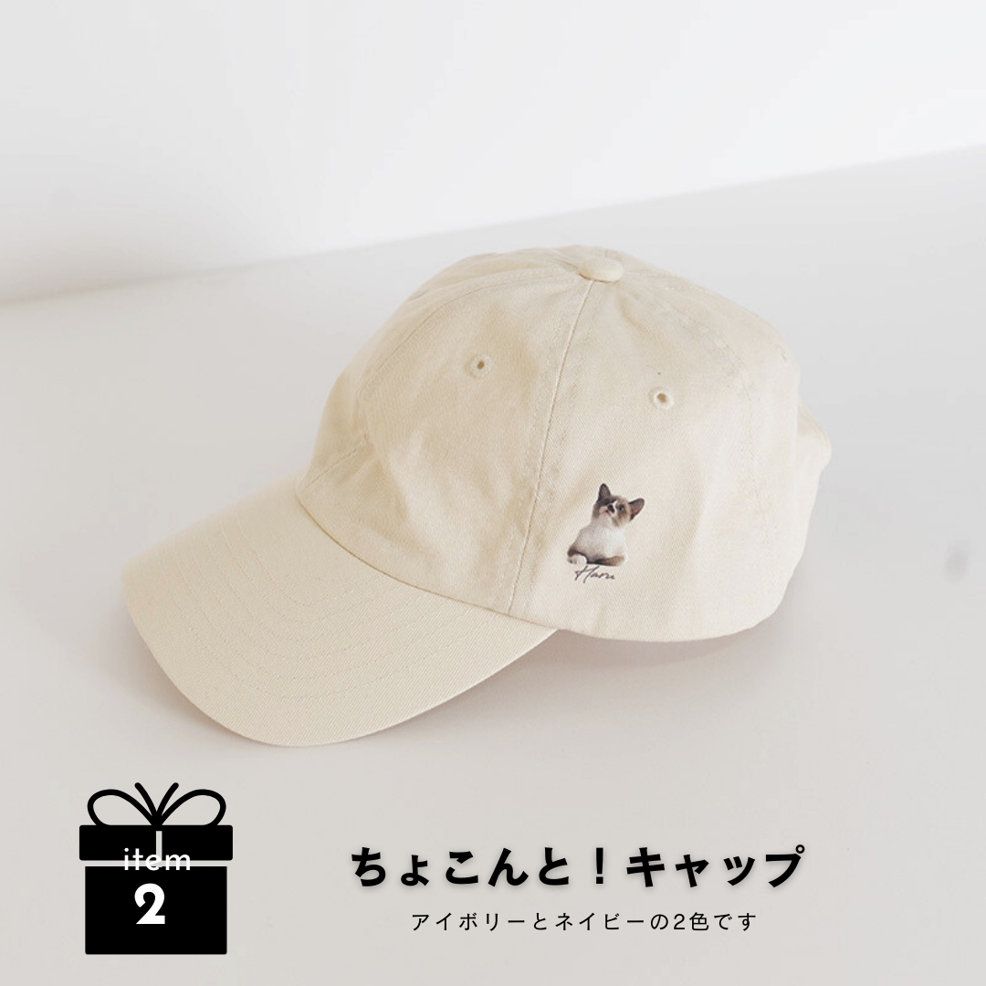 いつも一緒にギフトBOX