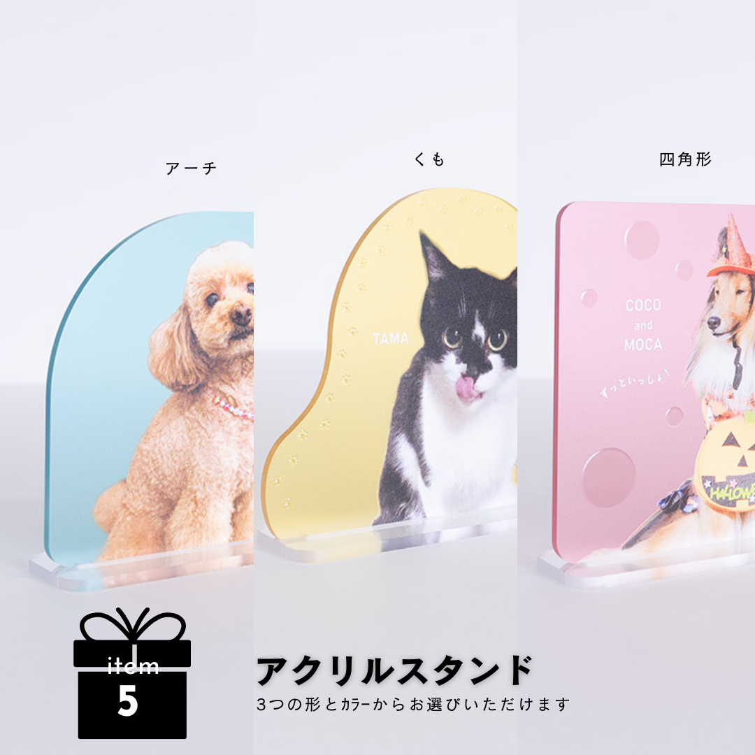 愛情たっぷりギフトBOX