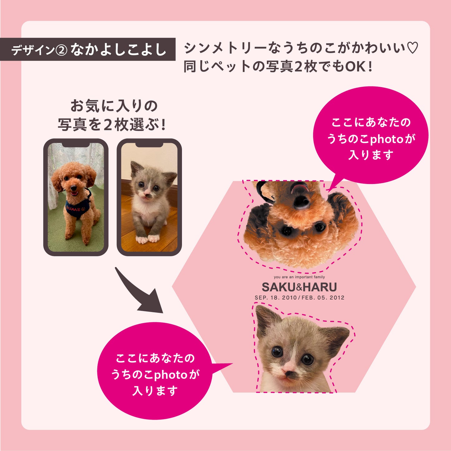 ダンボール製フォトキャンバス(六角形)