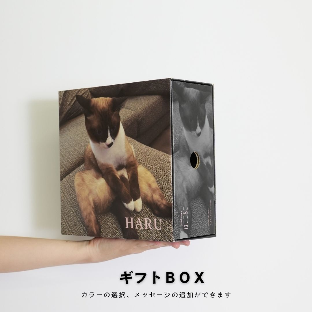 ギフトBOX(BOXのみ)