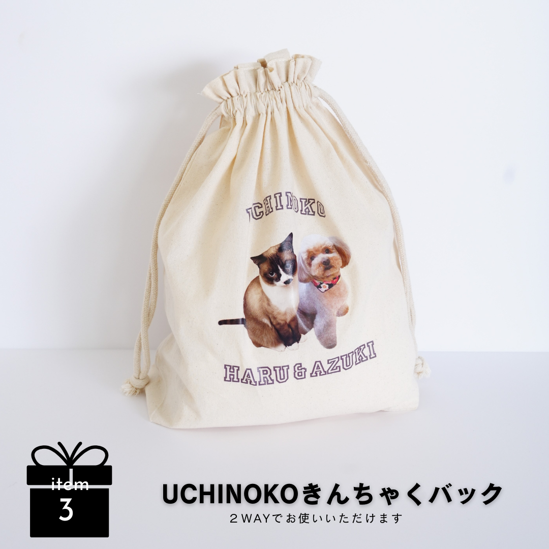 いつも一緒にギフトBOX