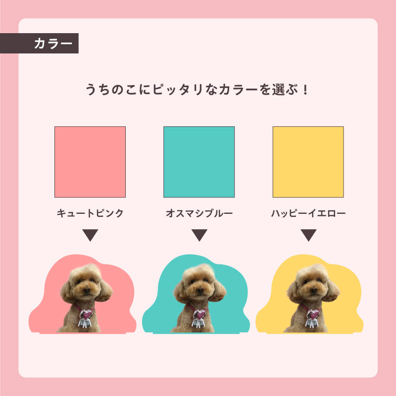 アクリルスタンド(くも)
