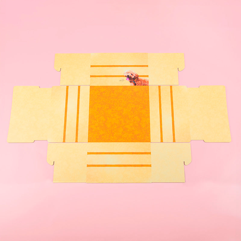 うちのこBOX -ごちそうシリーズ- ショートケーキ