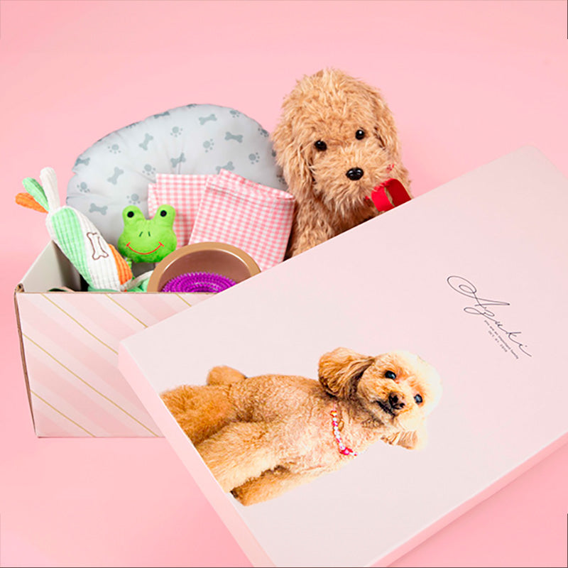 うちのこBOX -デザインシリーズ- best shot!
