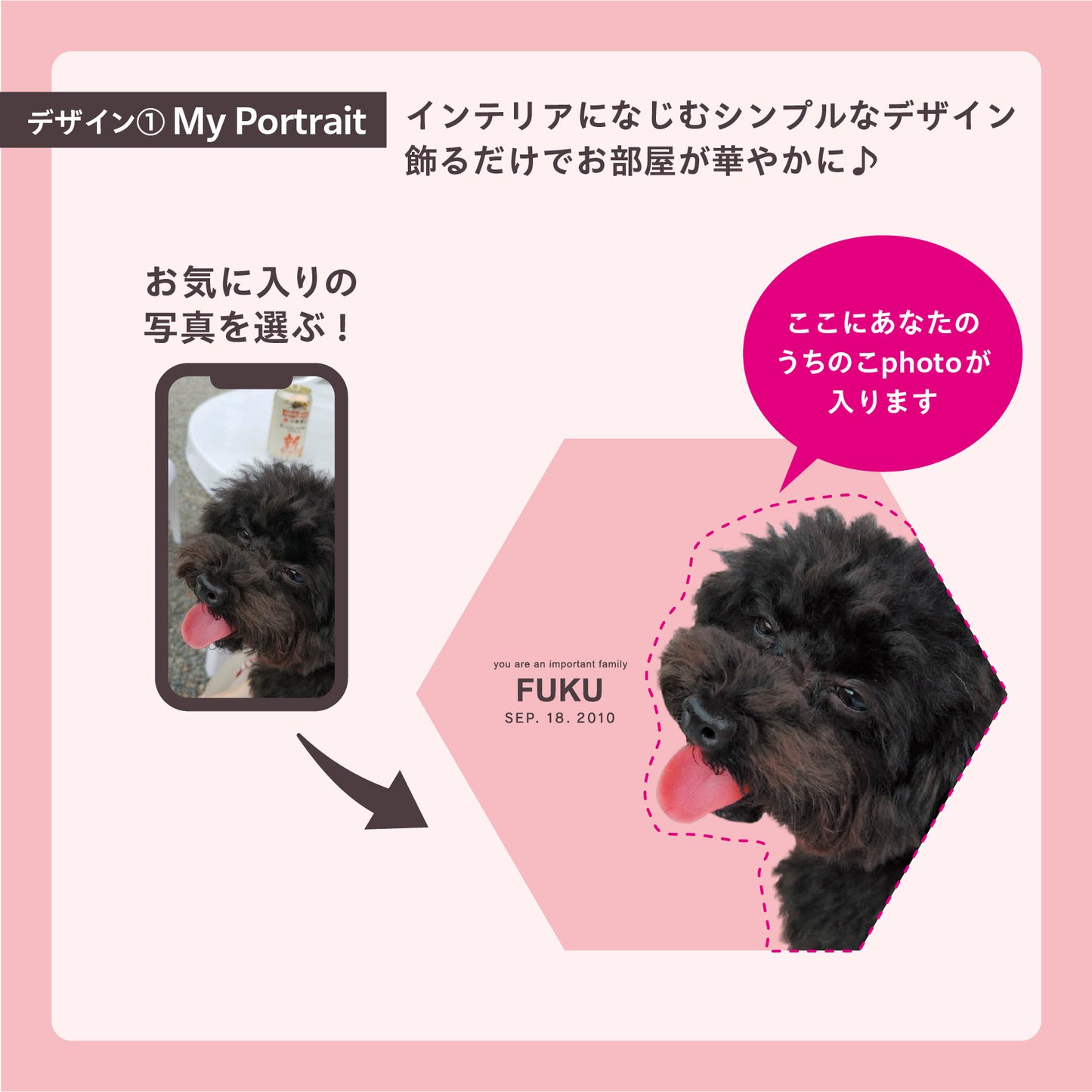 ダンボール製フォトキャンバス(六角形)
