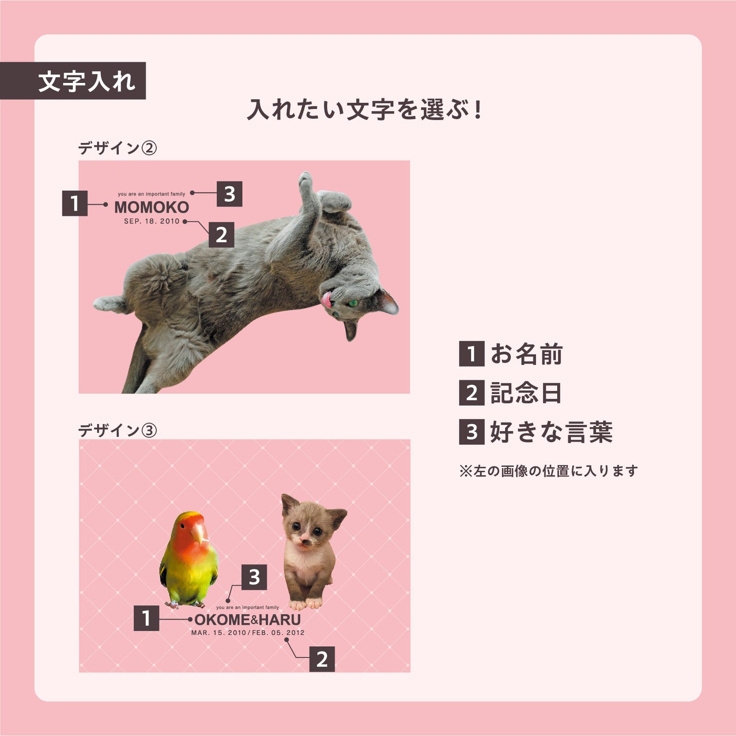 ダンボール製フォトキャンバス(四角形)