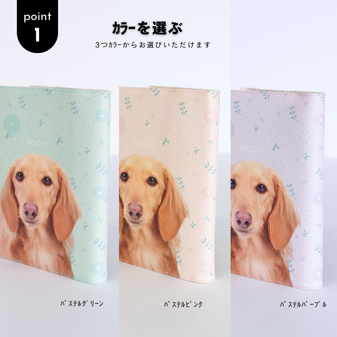 手元をいろどるギフトセット