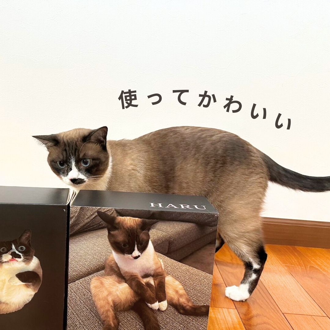 ギフトBOX(BOXのみ)