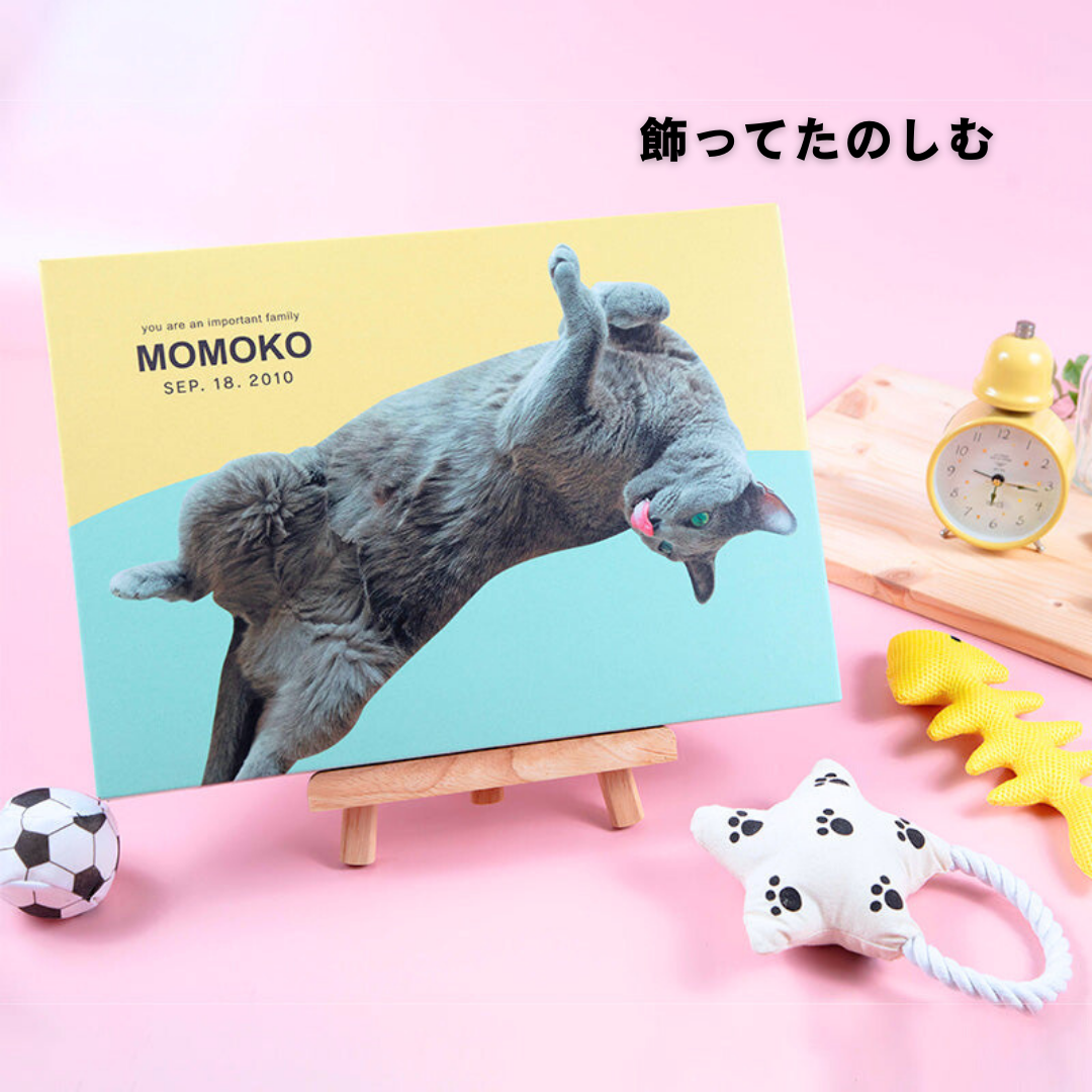 ダンボール製フォトキャンバス(四角形)