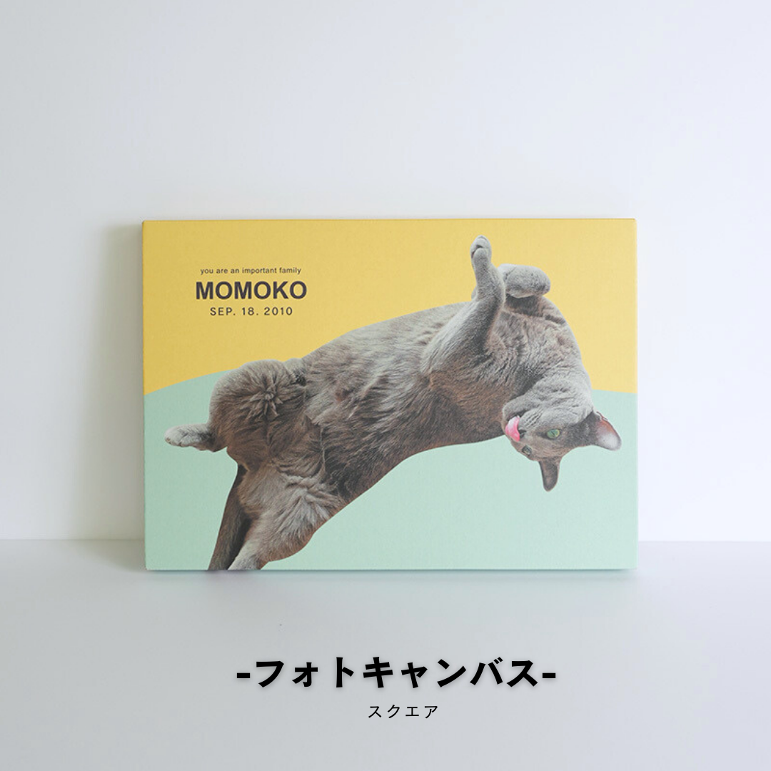 ダンボール製フォトキャンバス(四角形)