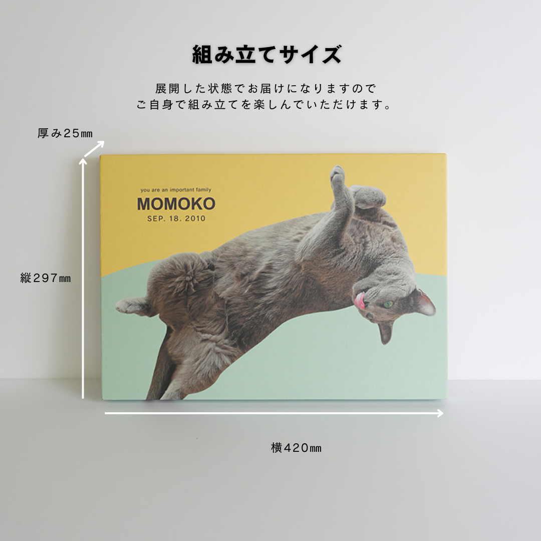 ダンボール製フォトキャンバス(四角形)