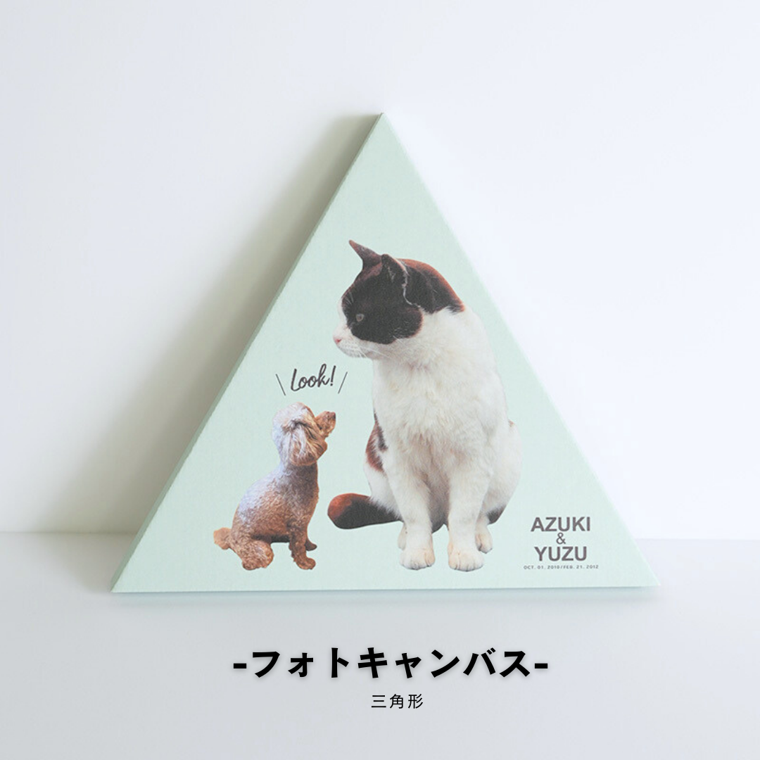 ダンボール製フォトキャンバス(三角形)