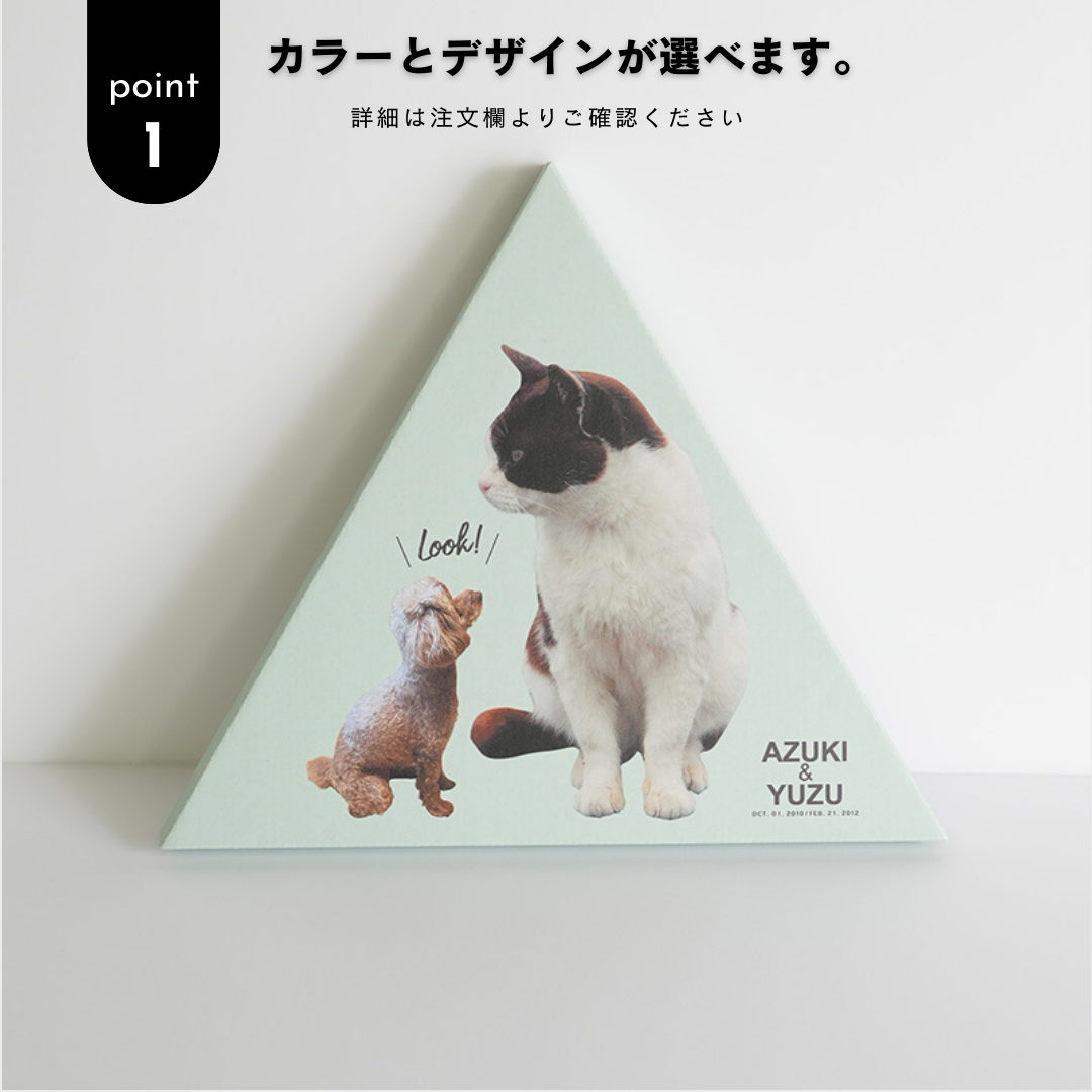 ダンボール製フォトキャンバス(三角形)