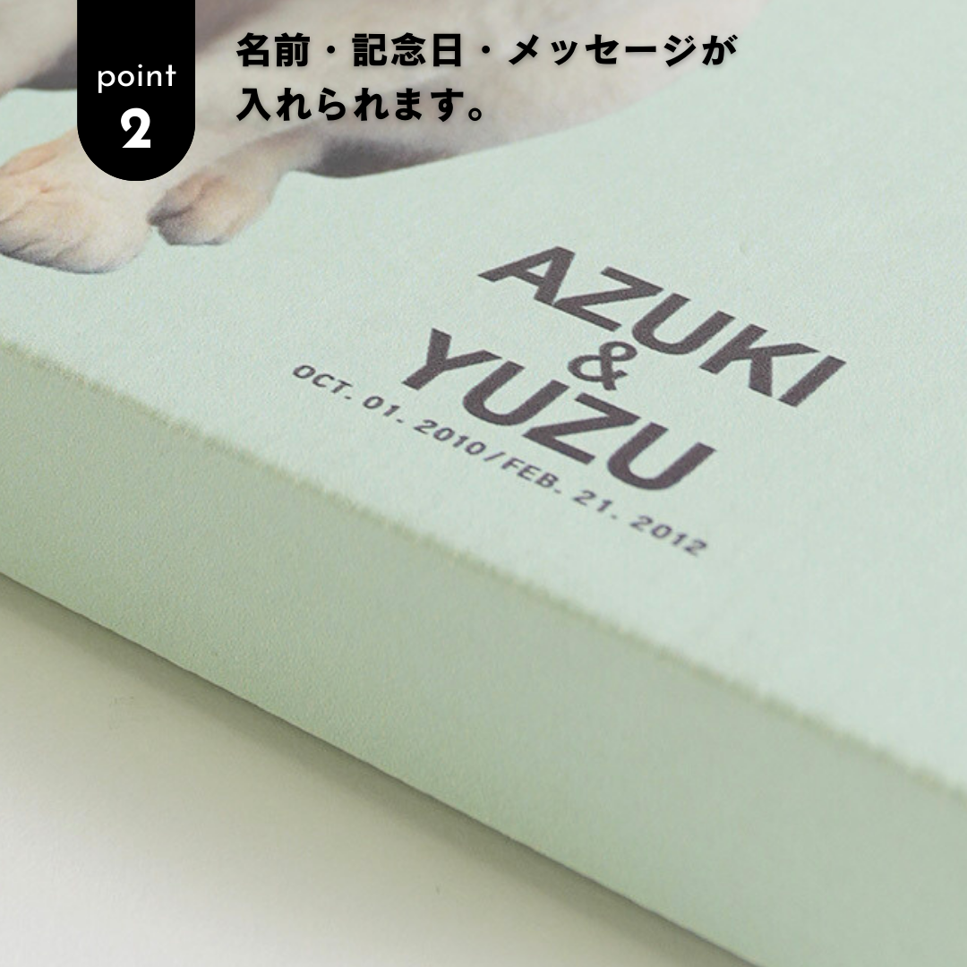 ダンボール製フォトキャンバス(三角形)