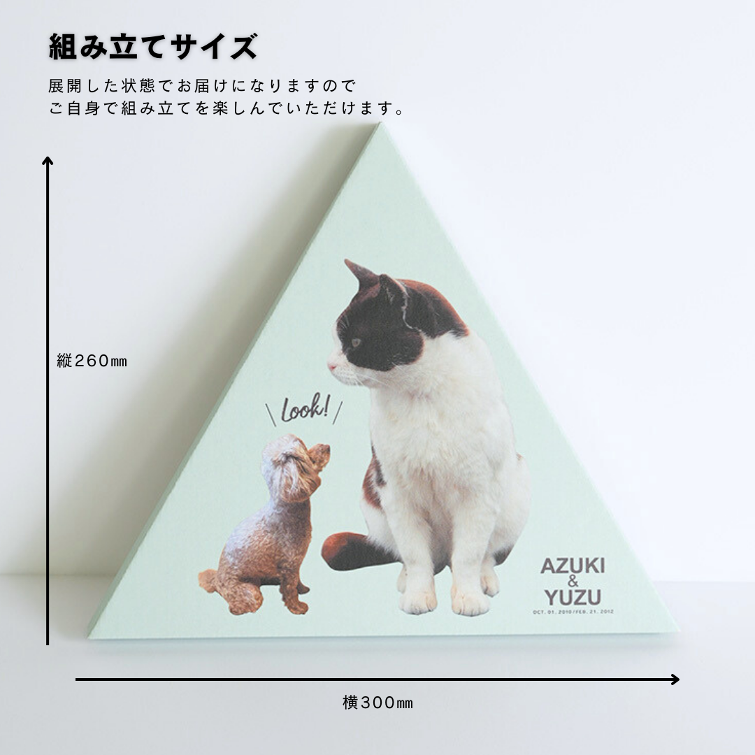 ダンボール製フォトキャンバス(三角形)