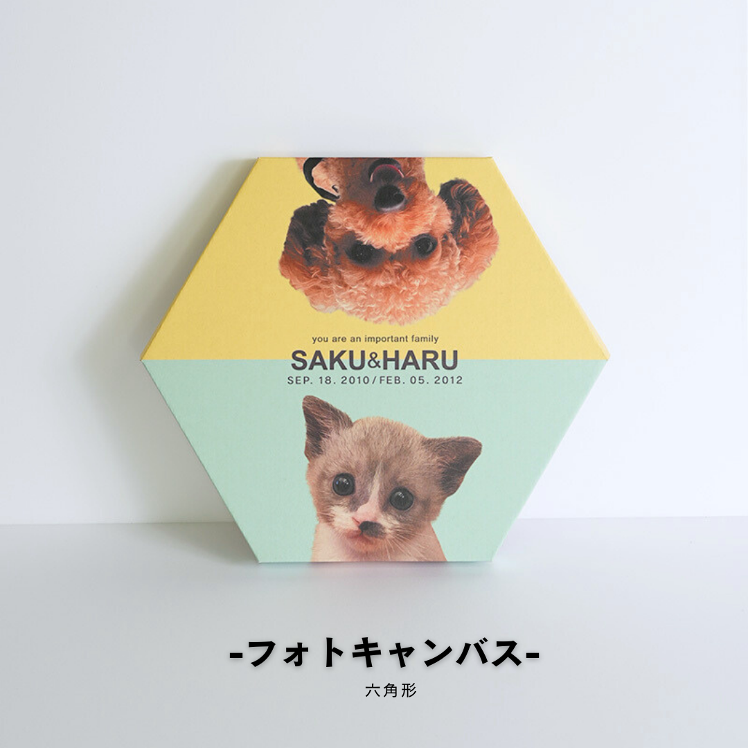 ダンボール製フォトキャンバス(六角形)