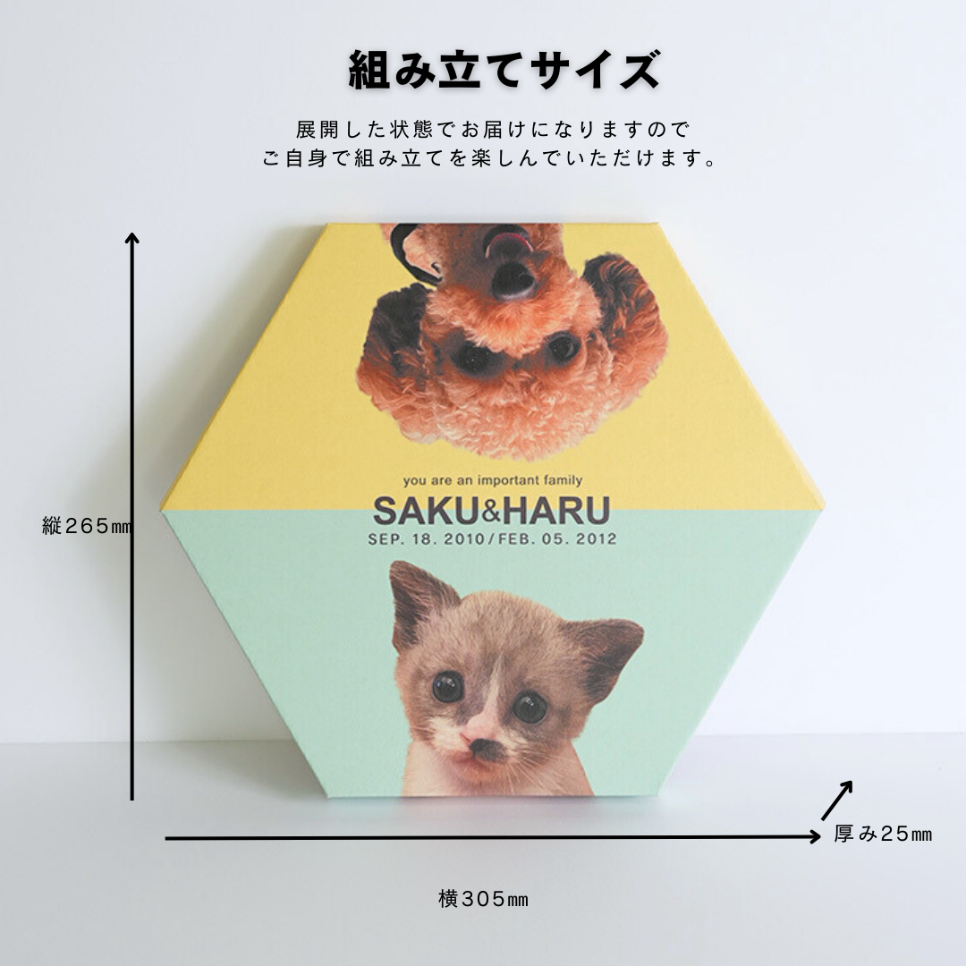ダンボール製フォトキャンバス(六角形)