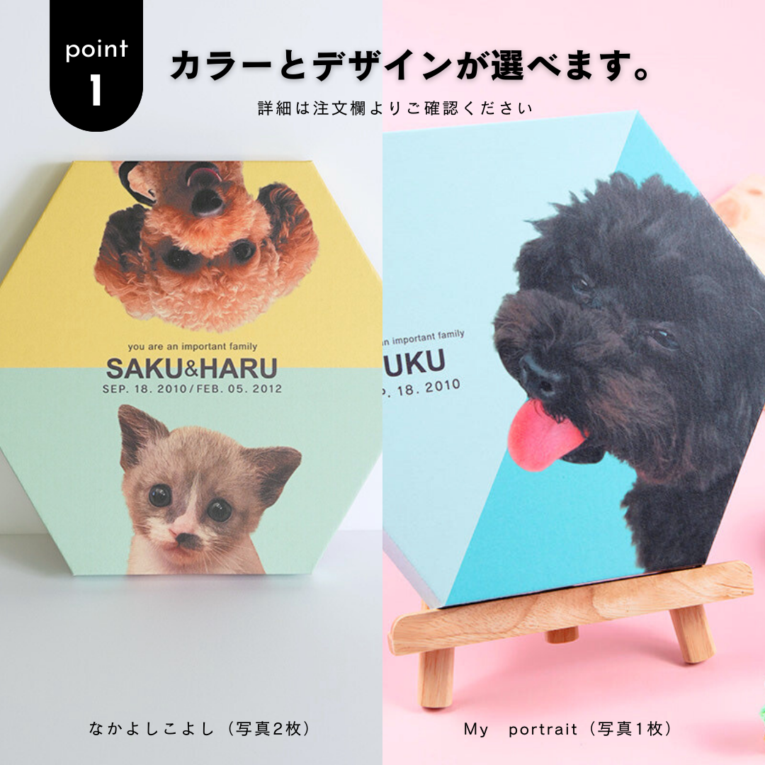 ダンボール製フォトキャンバス(六角形)