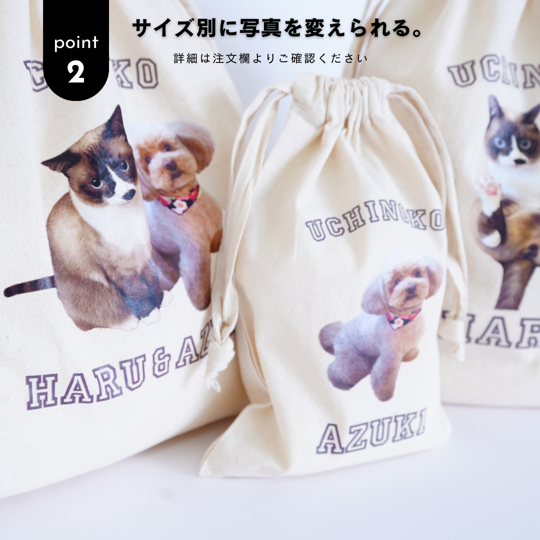 うちのこきんちゃくセット