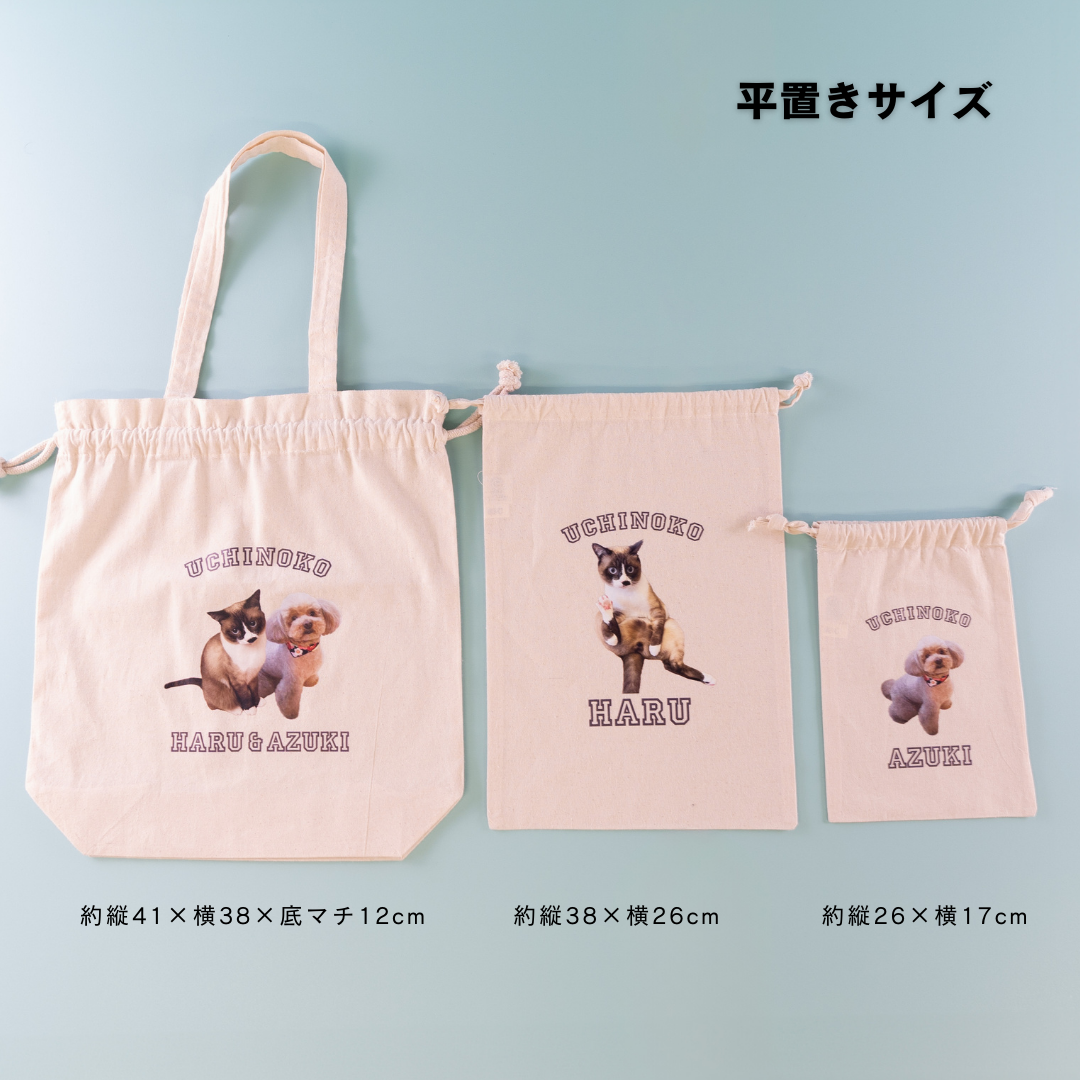 うちのこきんちゃくセット