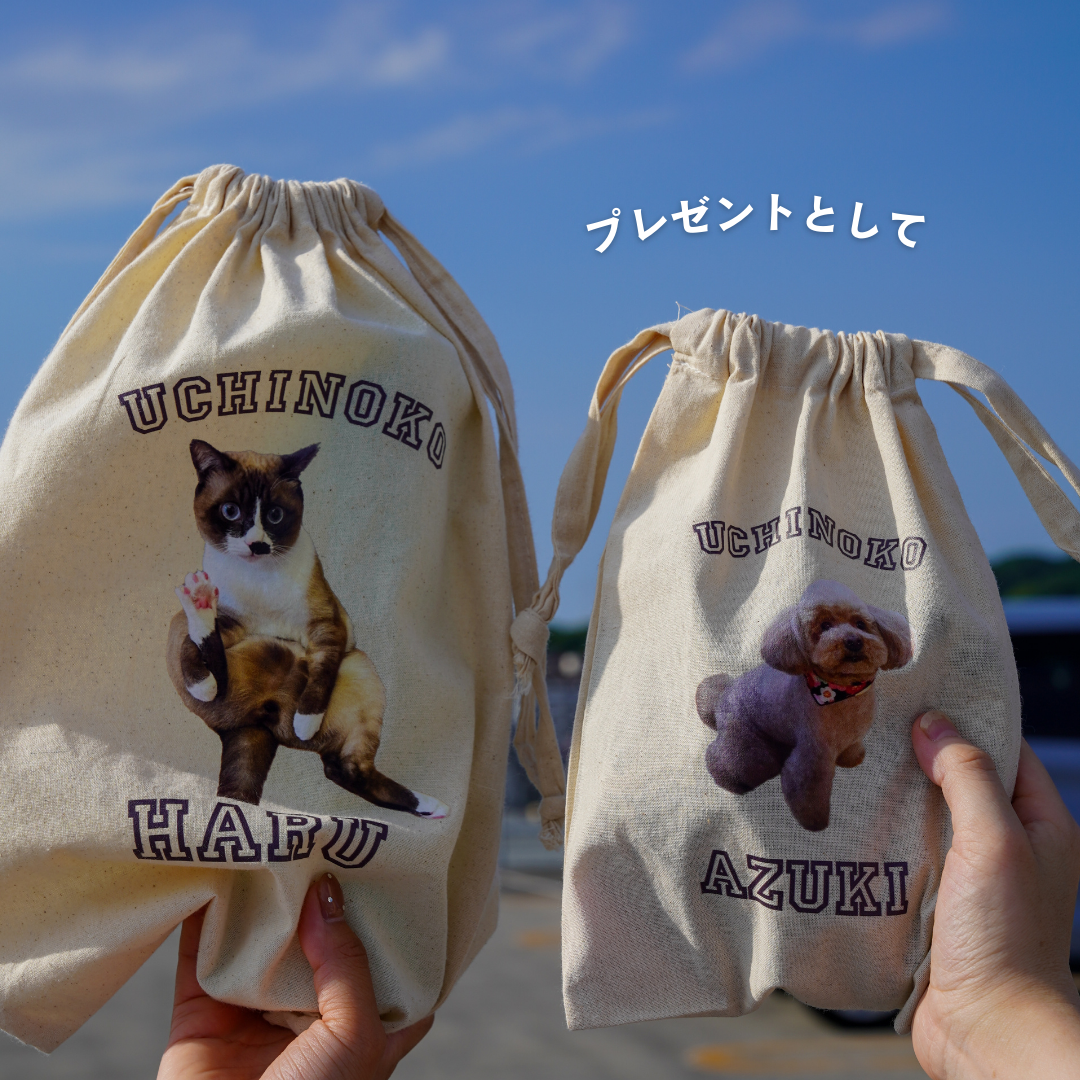 うちのこきんちゃくセット