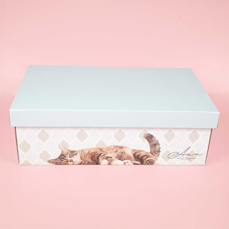 うちのこBOX -デザインシリーズ- nap my pet