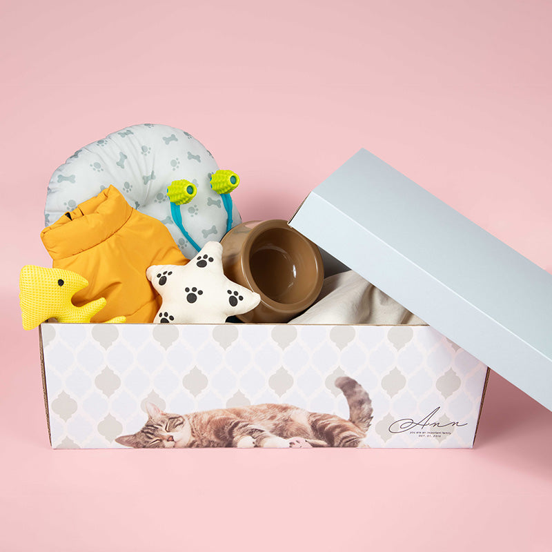 うちのこBOX -デザインシリーズ- nap my pet