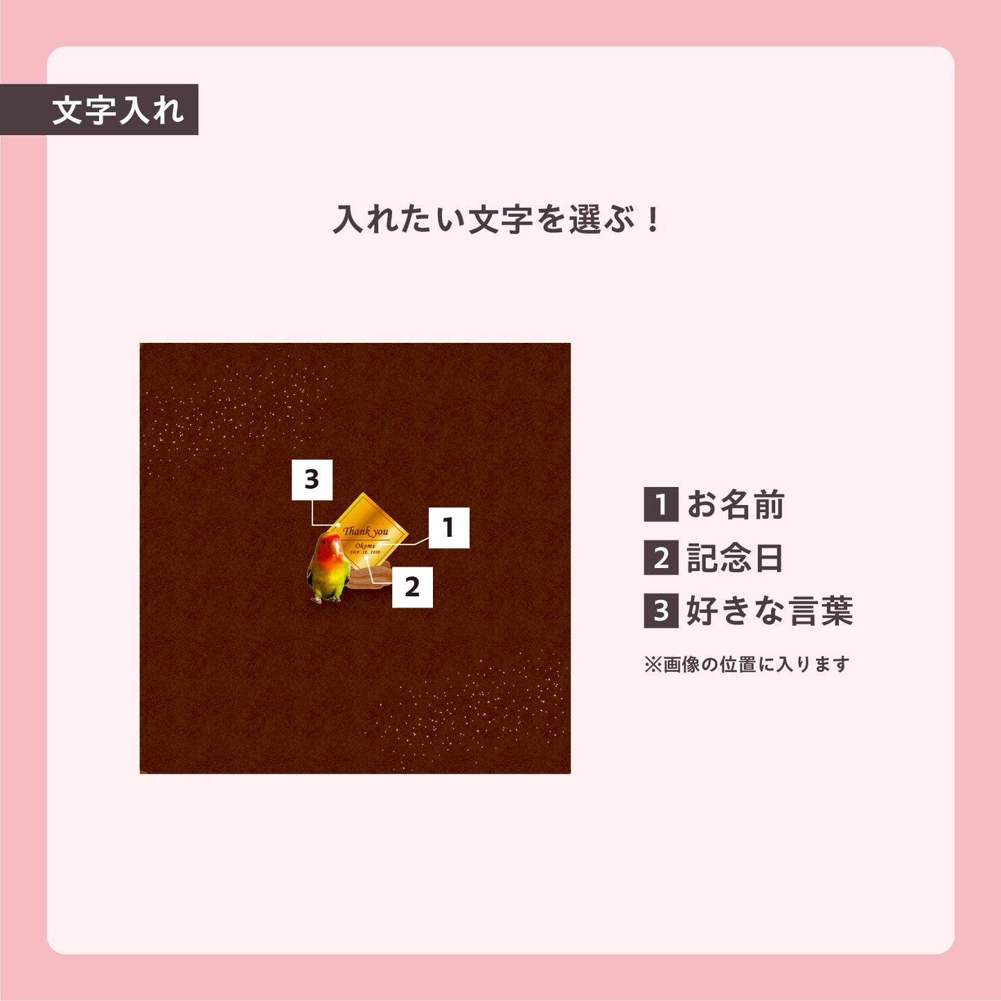 うちのこBOX -ごちそうシリーズ- チョコケーキ