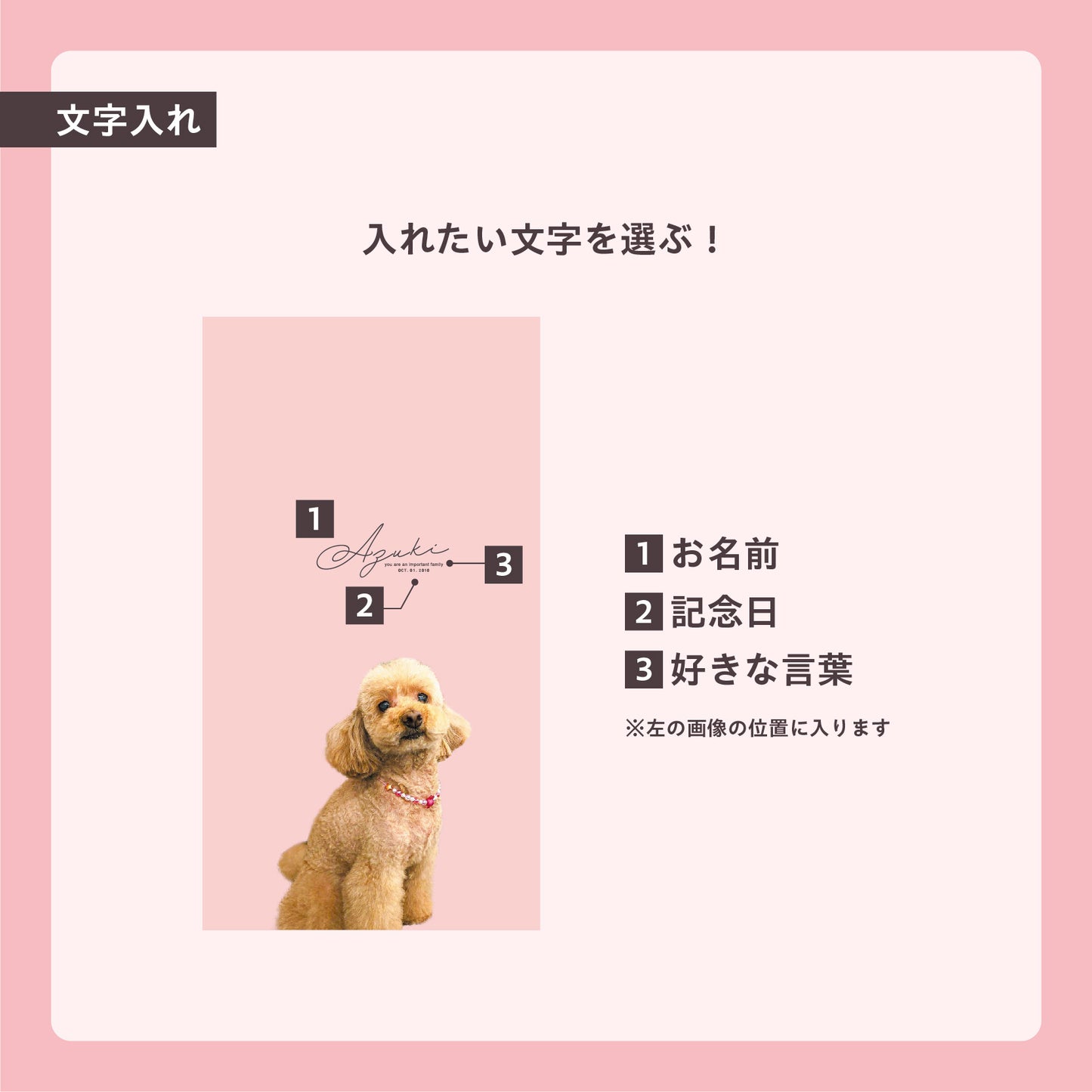 うちのこBOX -デザインシリーズ- best shot! mini