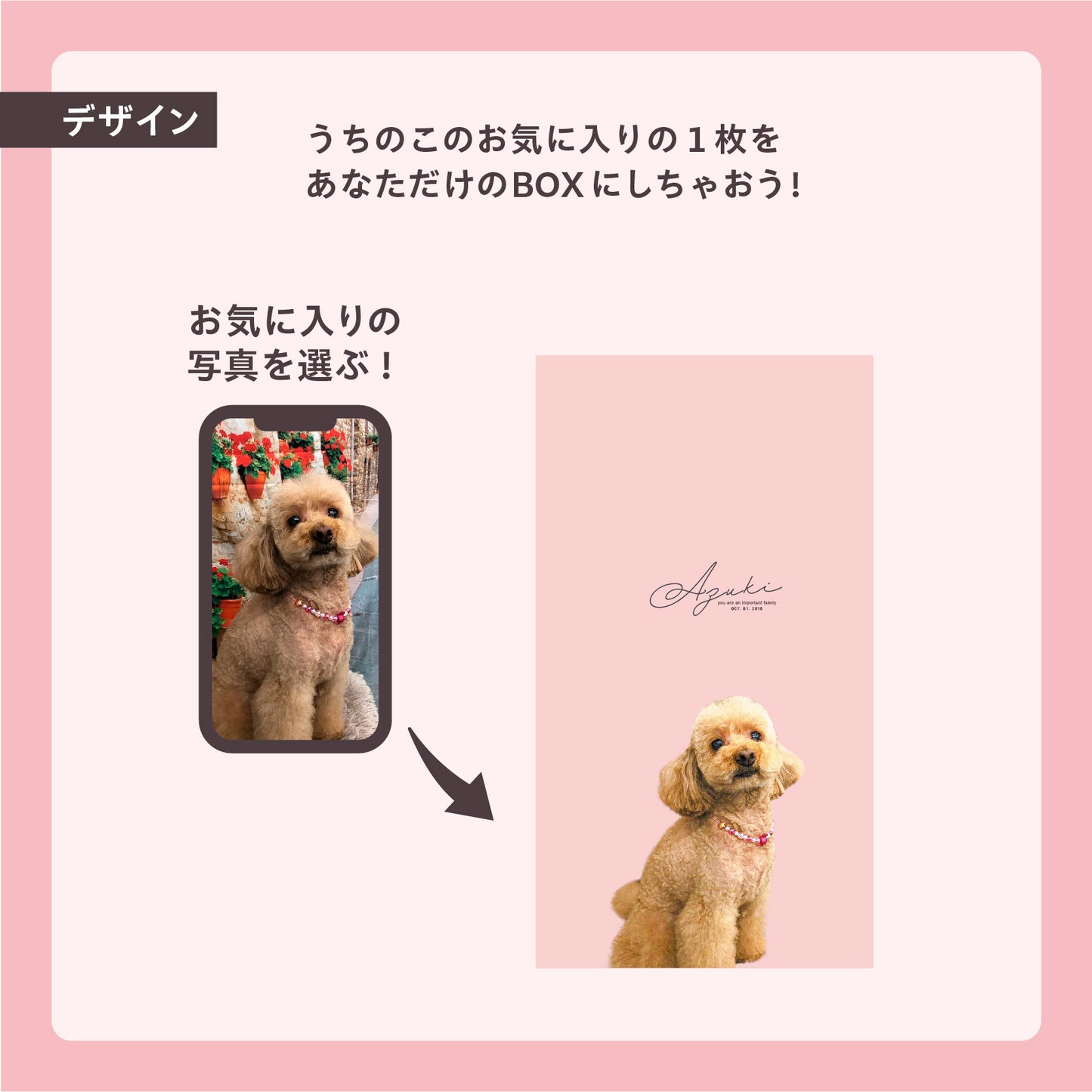 うちのこBOX -デザインシリーズ- best shot!