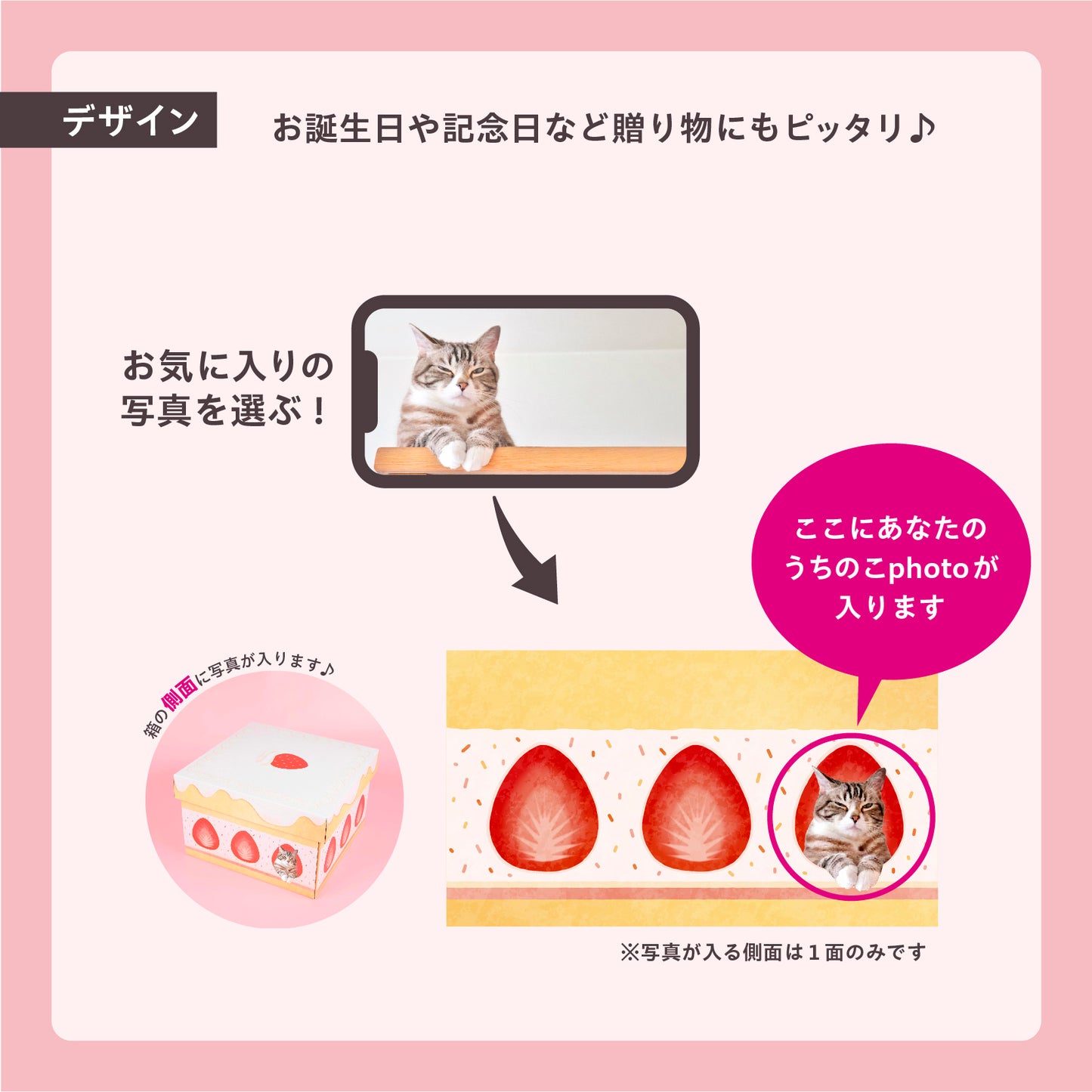 うちのこBOX -ごちそうシリーズ- ショートケーキ