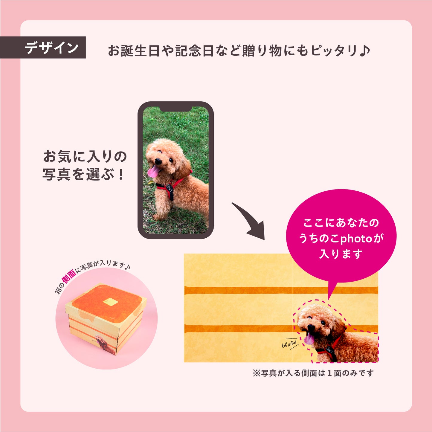 うちのこBOX -ごちそうシリーズ- ホットケーキ