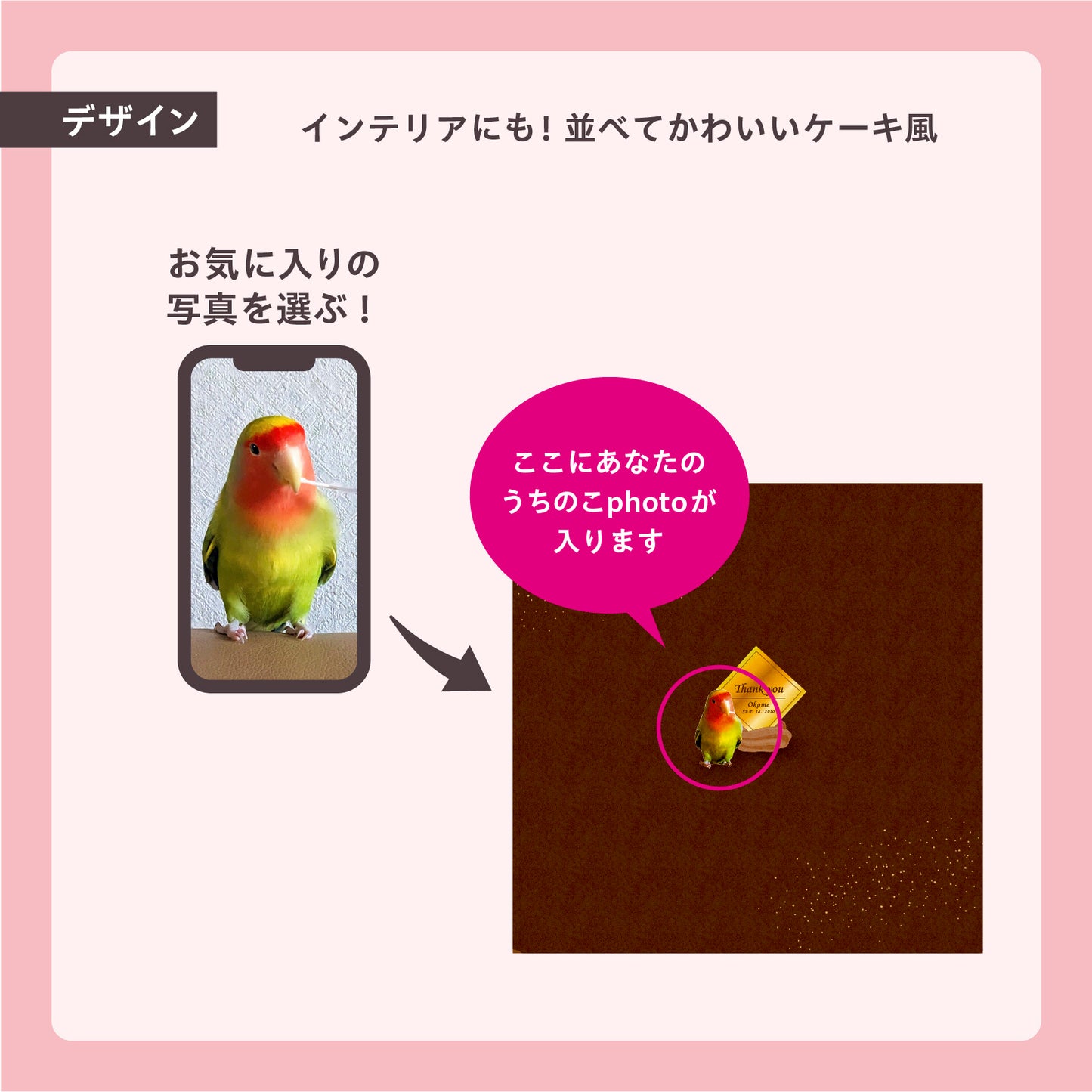 うちのこBOX -ごちそうシリーズ- チョコケーキ