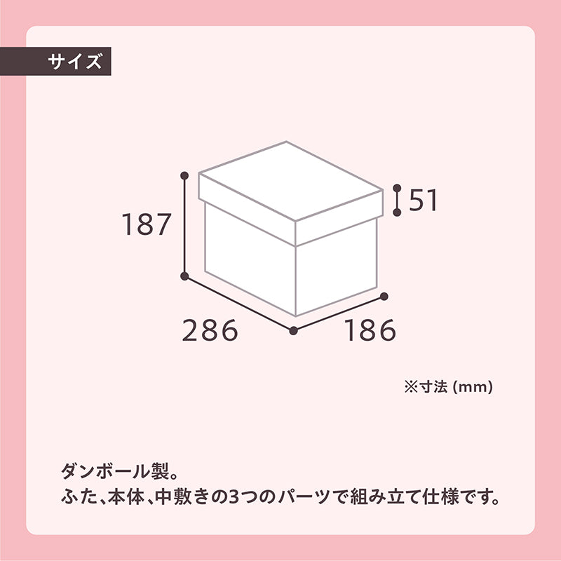 うちのこBOX -変身シリーズ- ナイト