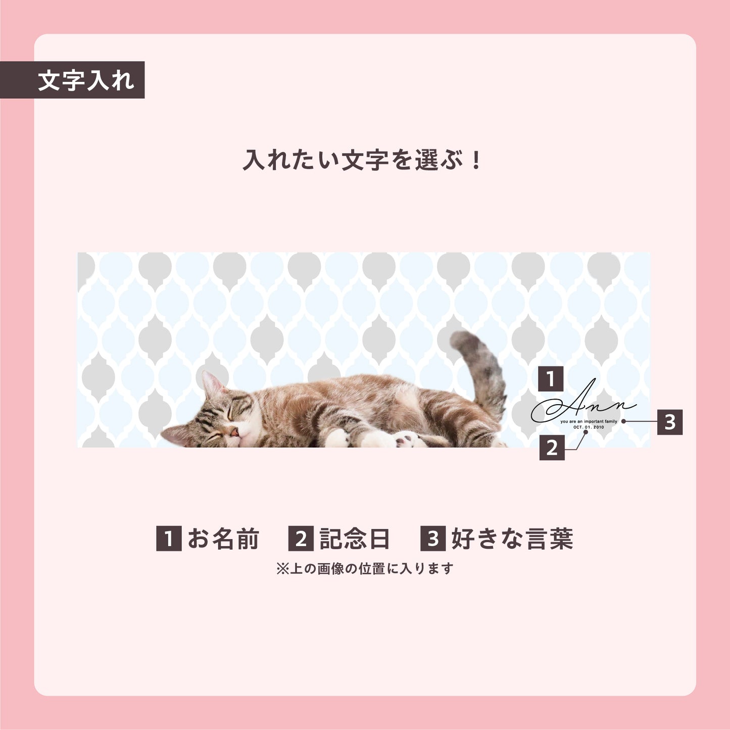 うちのこBOX -デザインシリーズ- nap my pet