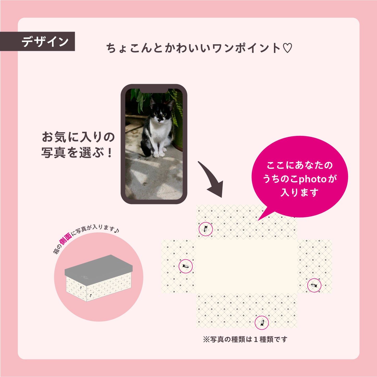 うちのこBOX -デザインシリーズ- one? point