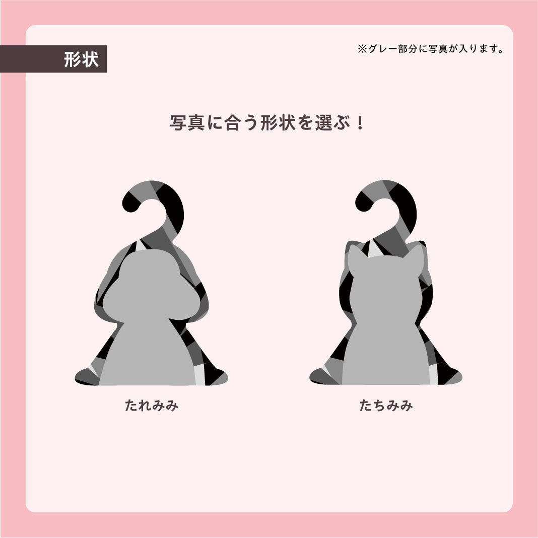 フォトハンガー -ペット用-(Be cool)