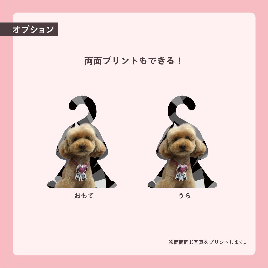 フォトハンガー -ペット用-(Be cool)
