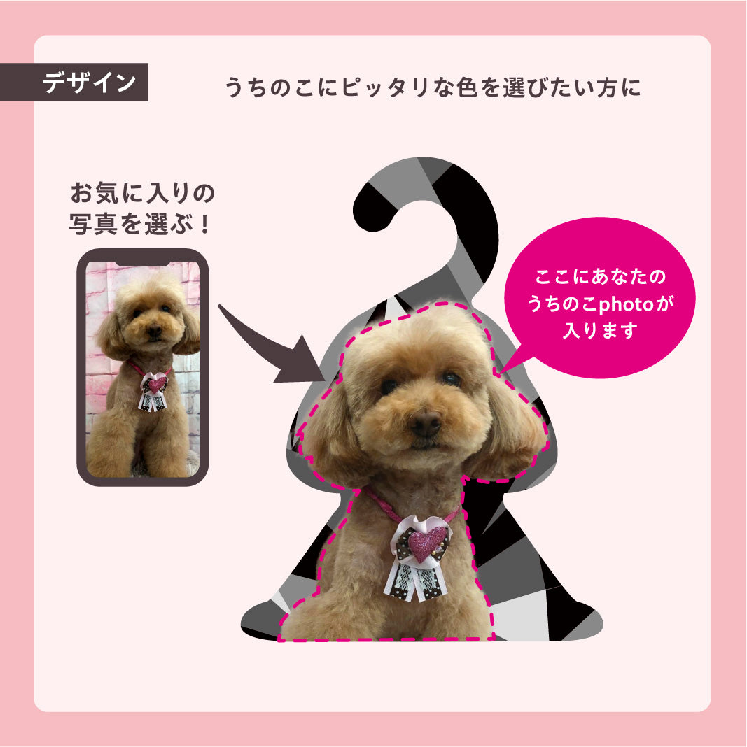 【まとめ買い】フォトハンガー -ペット用-(Be cool)5枚セット