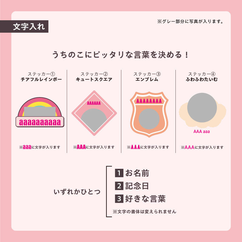 ビッグTシャツ(うちのこステッカー)