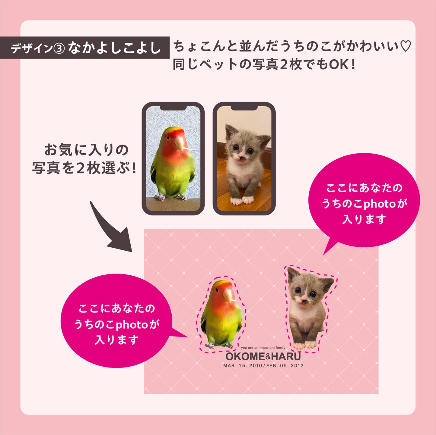 ダンボール製フォトキャンバス(四角形)